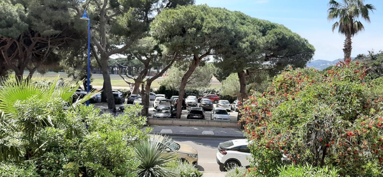 Les Iles D'or Au Port De Grand Climatise