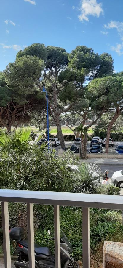Les Iles D'or Au Port De Grand Climatise Appartement
