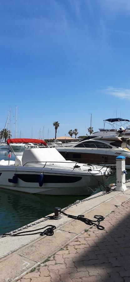 Les Iles D'or Au Port De Grand Climatise * Hyères
